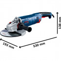 Bosch angle grinder GWS 24-230 JZ Professional (blue, 2,400 watts)