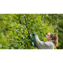 Bosch cordless hedge trimmer EasyHedgeCut 18V-52-13, 18Volt (green/black, Li-ion battery 2.0Ah, POWE