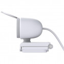 Foscam W41, webcam (white)