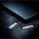 ADATA DDR5 - 8GB - 5600 - CL - 46, Single RAM (black, AD5S56008G-S, Premier Tray)