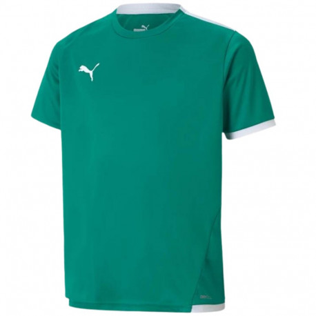 Puma laste särk teamLIGA Jersey 704925 05 164cm, roheline