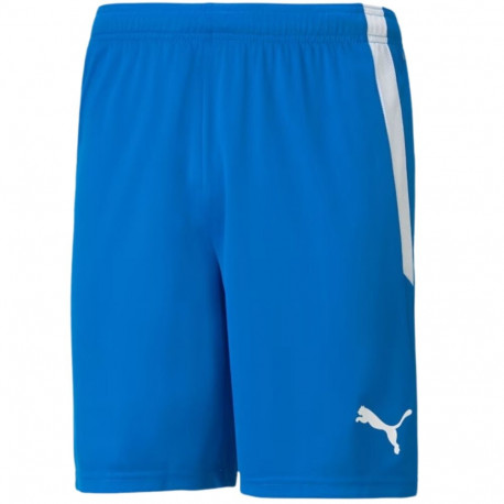 Puma meeste lühikesed püksid teamLIGA 704924 02 L, sinised