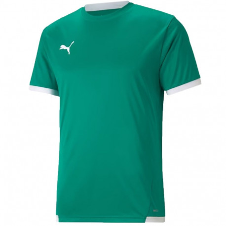 Puma meeste särk teamLIGA Jersey 704917 05 L, roheline
