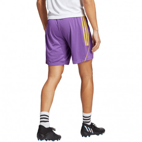 adidas meeste lühikesed püksid Tiro 23 League IB8089 S, lilla