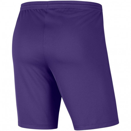 Nike laste lühikesed püksid BV6865 547 Dry Park III NB K M, lilla