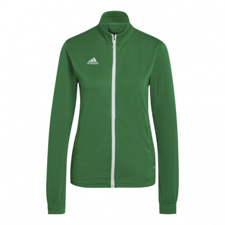 Adidas naiste dressipluus Entrada 22 HI2136 2XS, roheline
