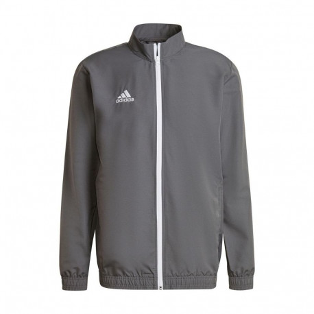 Adidas meeste pusa Entrada 22 Presentation Jacket H57535 M, hall