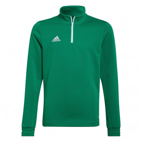 Adidas laste pusa Entrada 22 Training Top HI2132 152cm, roheline