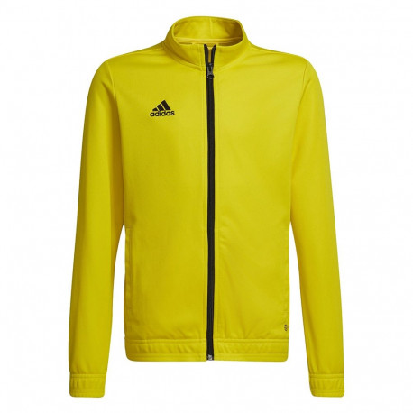 Adidas laste dressipluus Entrada 22 Track Jacket HI2139 164cm, kollane