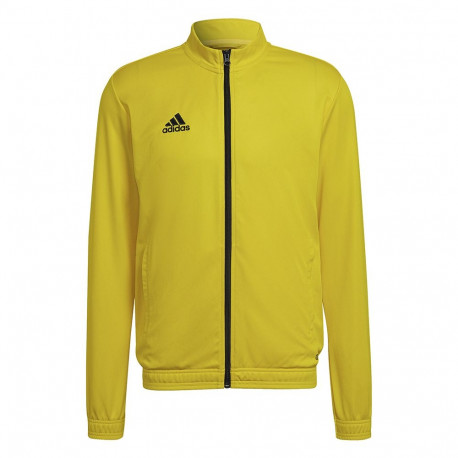 Adidas meeste pusa Entrada 22 HI2134 M, kollane