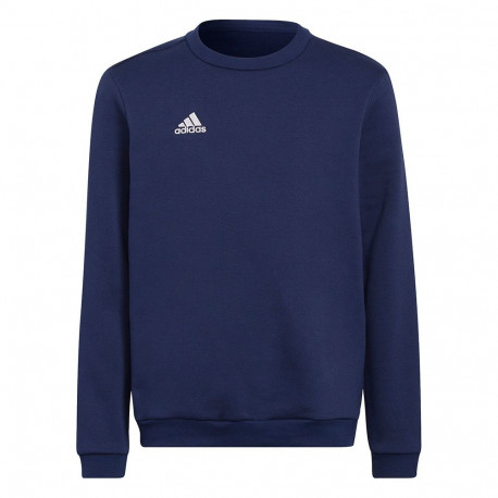 Adidas laste pusa Entrada 22 Sweat Top H57568 164cm, tumesinine