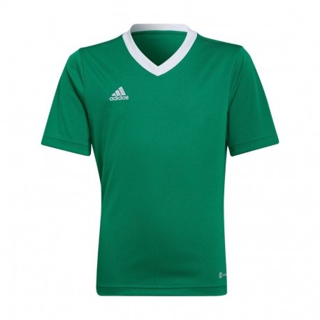 Adidas laste särk Entrada 22 Jersey HI2126 152cm, roheline