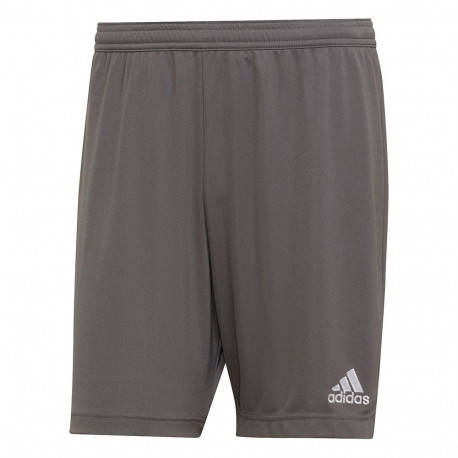 Adidas meeste lühikesed püksid Entrada 22 H57505 L, hallid