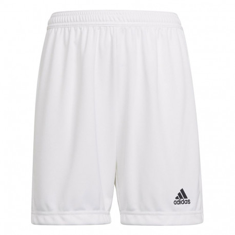Adidas laste lühikesed püksid Entrada 22 HG6292 116cm, valge