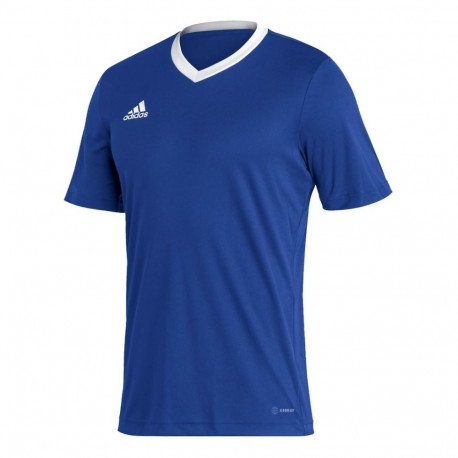 Adidas meeste särk Entrada 22 Jersey HG6283 S, sinine
