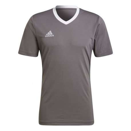 Adidas meeste särk Entrada 22 Jersey HE1574 M, hall