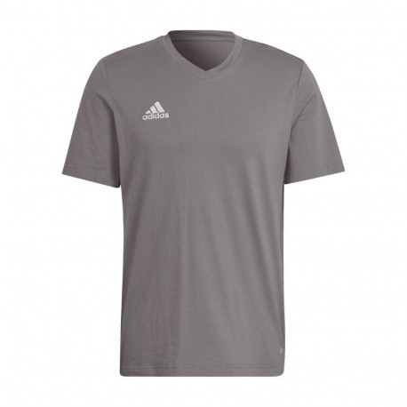Adidas meeste t-särk Entrada 22 Tee HC0449 2XL, hall