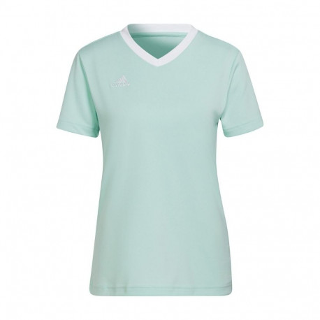 Adidas naiste särk Entrada 22 Jsy HC5076 2XS, mündiroheline