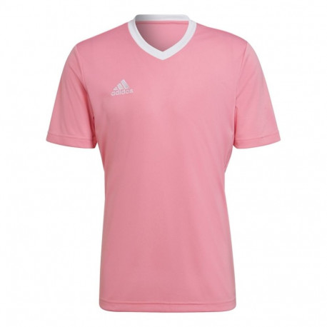 Adidas meeste särk Entrada 22 Jersey HC5072 XL, roosa