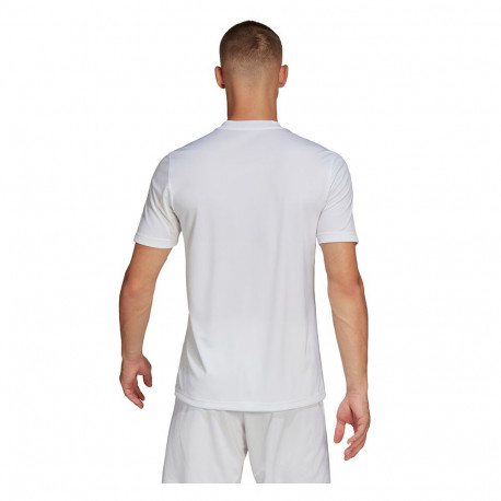 Koszulka męska adidas Entrada 22 Graphic Jersey biało-szara HF0129 XL