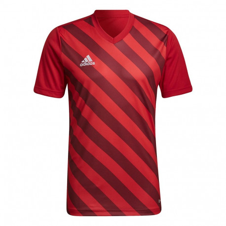 Adidas meeste särk Entrada 22 Graphic Jersey HB0572 S, punane-bordoopunane