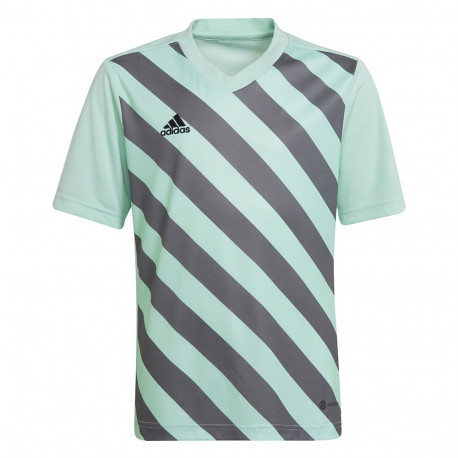 Adidas laste särk Entrada 22 Graphic Jersey HF0127 116cm, mündihall