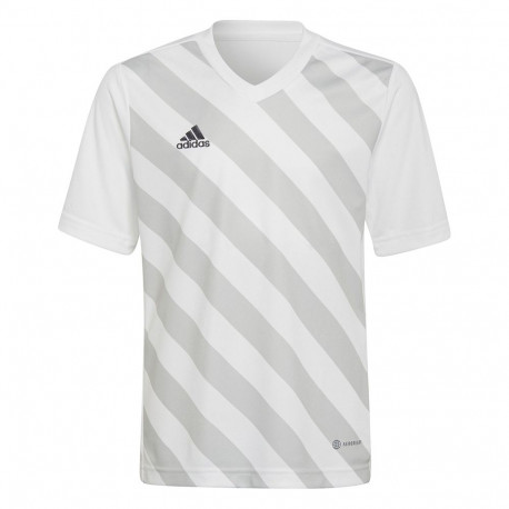 Adidas laste särk Entrada 22 Graphic Jersey HF0120 116cm, valge-hall