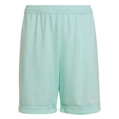 Adidas laste lühikesed püksid Entrada 22 HC5058 128cm, mündiroheline