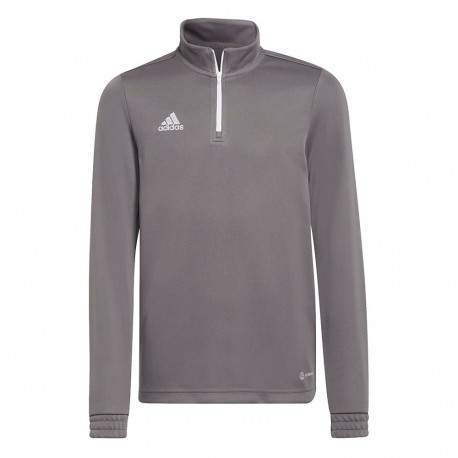 Adidas laste treeningpusa Entrada 22 Training Top H57549 116cm, hall