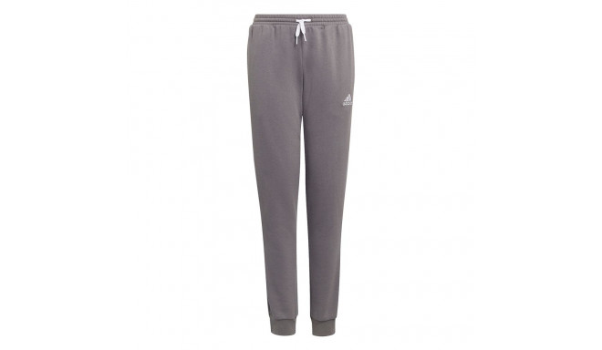 Spodnie dla dzieci adidas Entrada 22 Sweat Pants szare H57519 140cm