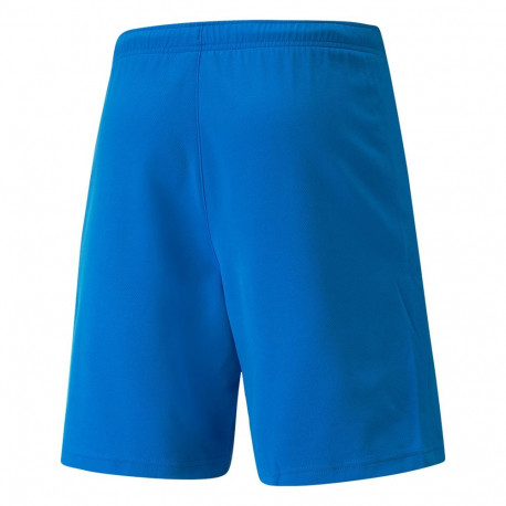 Puma meeste lühikesed püksid teamRISE 704942 02 L, sinine