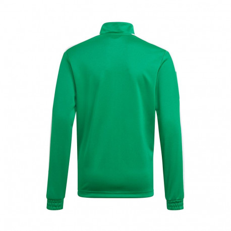Adidas laste pusa Squadra 21 Training Youth GP6456 176cm, roheline