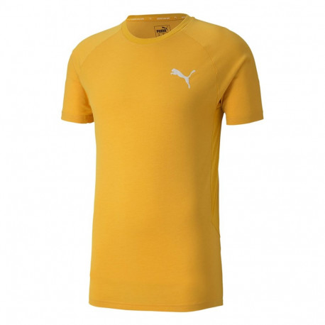 Puma meeste t-särk Evostripe Lite Tee 581534 25 S, kollane