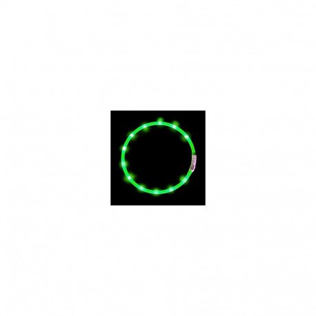 Anicoll LED Collar for Dogs and Cats Green