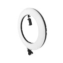 Ring lamp LED 60W (3000-6000K) with case