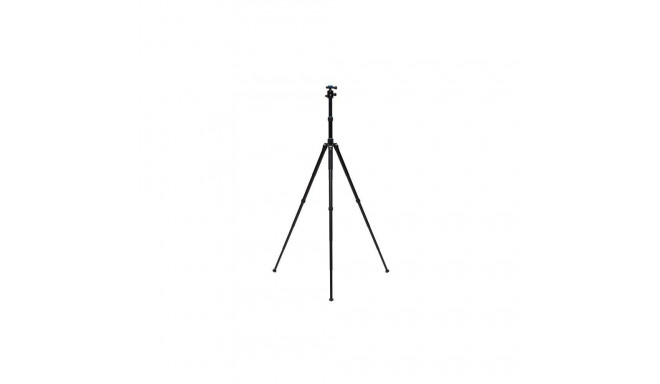 Tripod Benro ProAngel + ball head B2