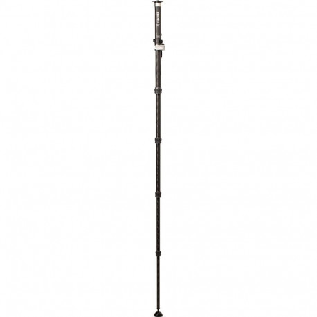 Monopod Benro SupaDupa MSD36C