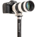 Monopod Benro SupaDupa MSD36C