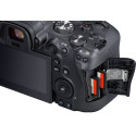 Canon EOS R6 + RF 24-105mm f/4L IS USM + Mount Adapter EF-EOS R