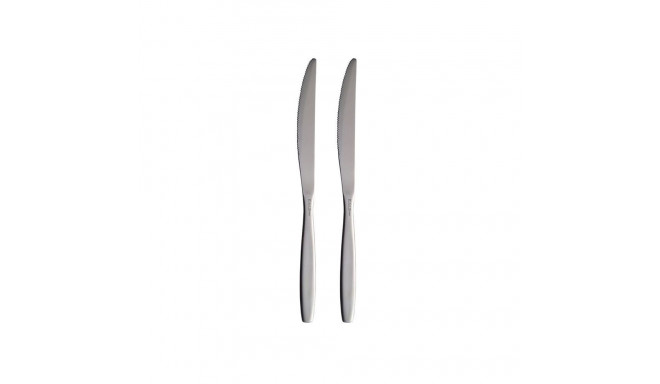 HANGER 2 PCS TABLE KNIFE ECO. WIND