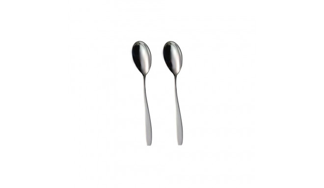 HANGER 2 PCS TABLE SPOON WIND