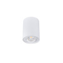 CEILING LIGHT POINT FITTING BORD DLP-50W