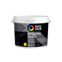 PAINT PENTACOLOR PENTAPRO MATT CLR 3L