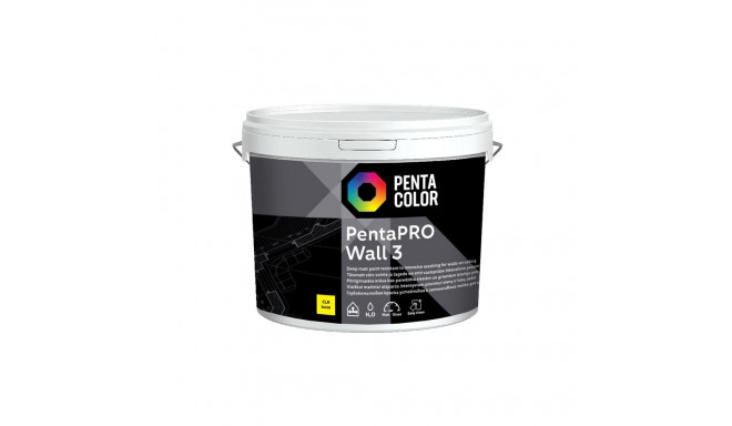 PAINT PENTACOLOR PENTAPRO MATT CLR 3L