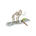 Mammoth Fossils Science Kit