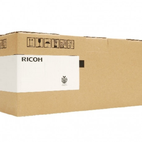 Ricoh B125-9640 (B1259640) Developer, Black