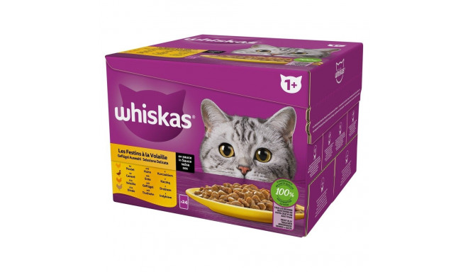 WHISKAS linnulihaga pidusöök märg kassitoit 24x85 g