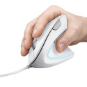 Trust Verto mouse Right-hand USB Type-A Optical 1600 DPI