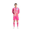 Adidas Tiro 24 M IT2417 shorts (L)