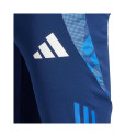 Adidas Tiro 24 Competition 1/2 M IR5490 shorts (L)